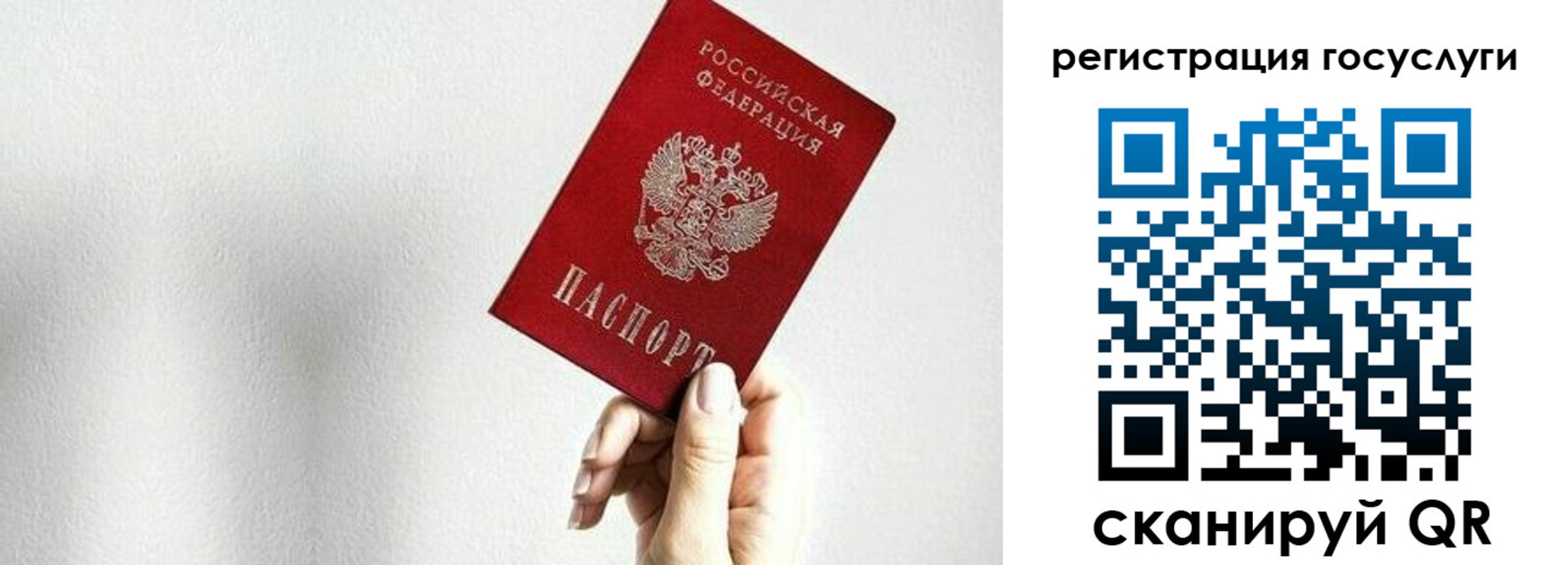 прописка гарантия в Чистополье